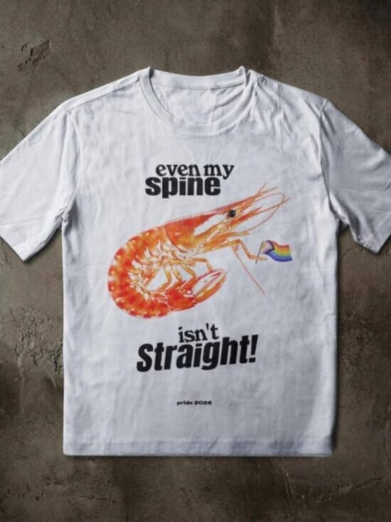 Tops - Gay Shrimp Pride Tee, Progress Pride Flag Tee